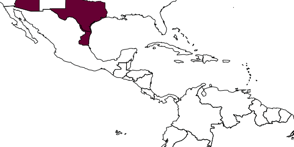 map of Tachytes badius     Banks, 1942